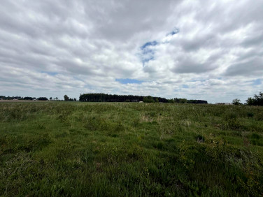 Działka budowlana Nużewo