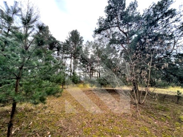 Działka inwestycyjna Bydgoszcz