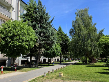 Mieszkanie Skierniewice