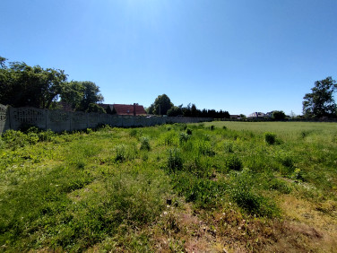 Działka Chojnów