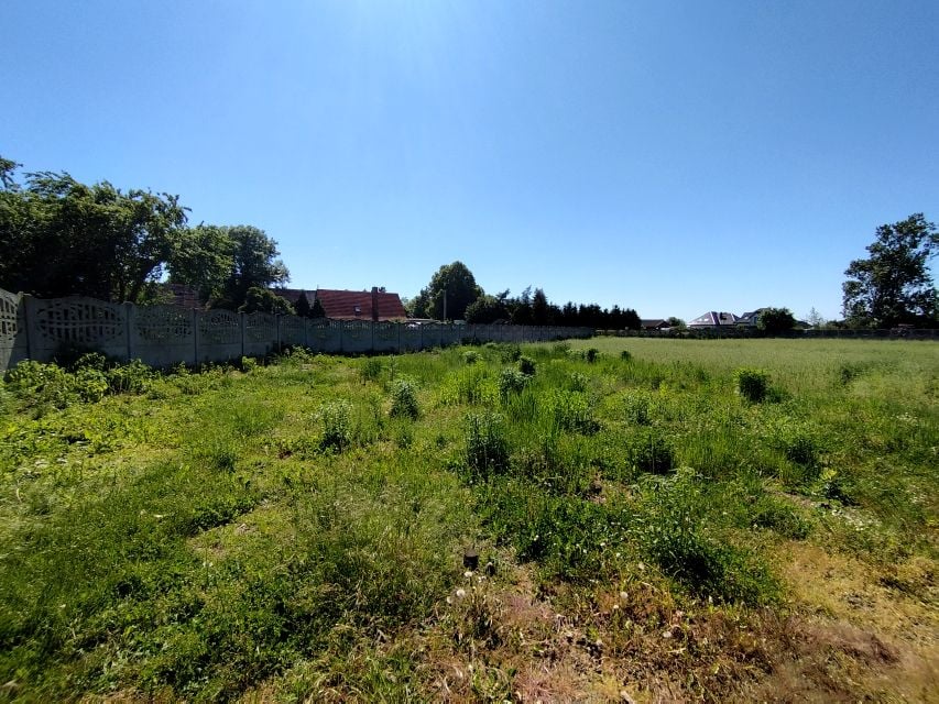 Działka Chojnów