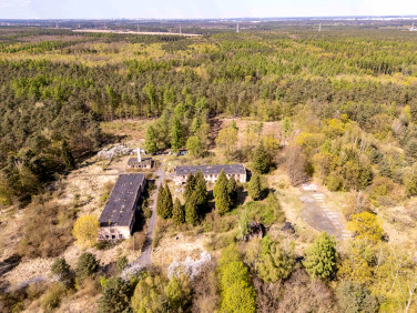 Działka budowlana Skrzynki