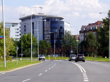 Lokal Warszawa