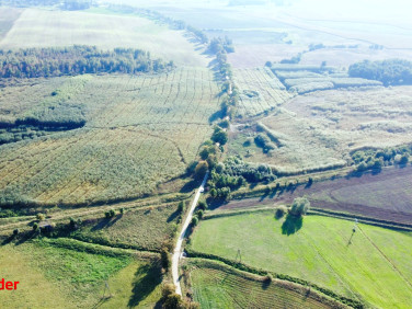 Działka Koszajny