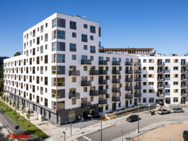 Lokal Warszawa