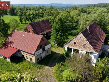 Dom Świecie