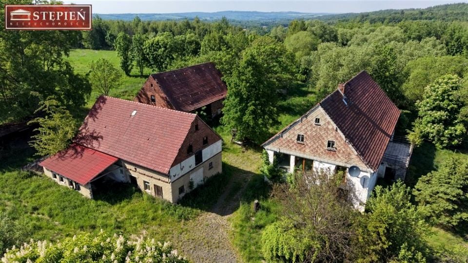 Dom Świecie