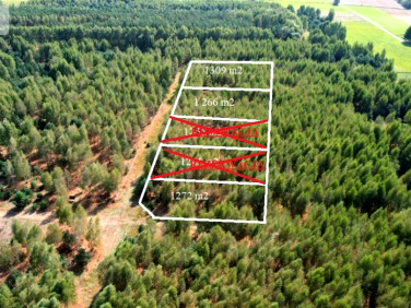 Działka inna Strzyżewo Paczkowe sprzedam
