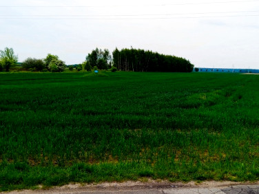 Działka budowlana Rzgów