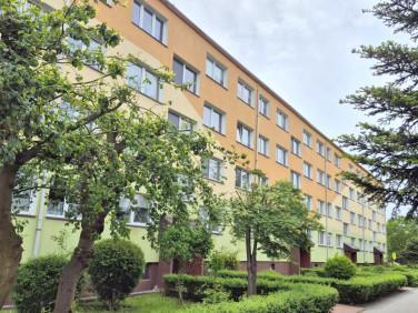 Mieszkanie Brzeg Dolny