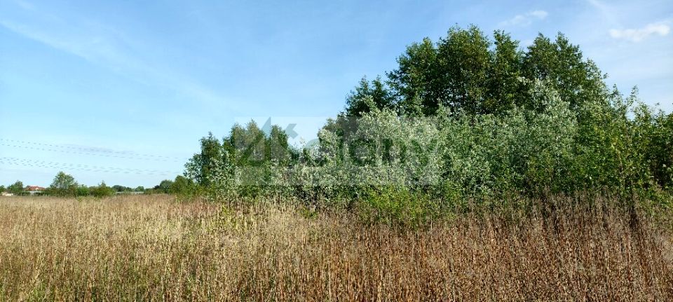 Działka budowlana Wolica