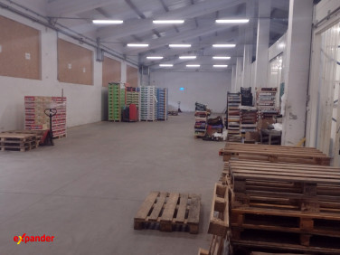 Lokal Głogów Małopolski