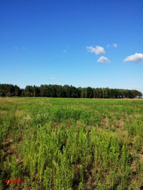 Działka Blinno