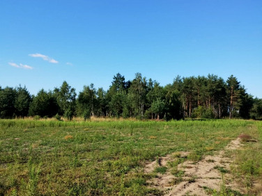 Działka Blinno