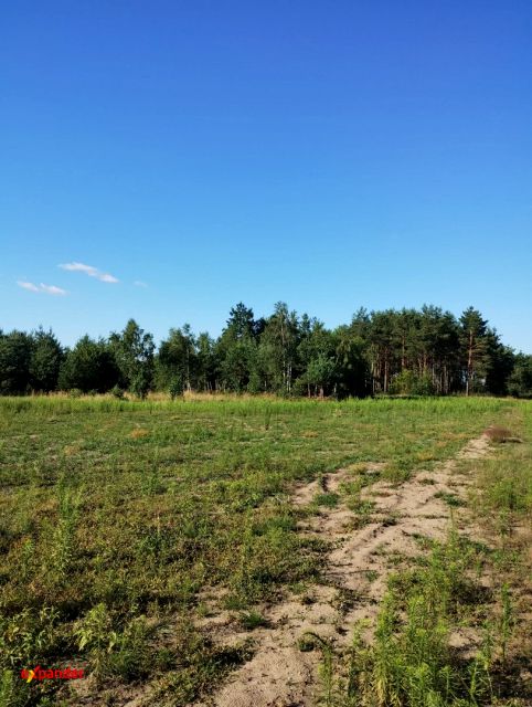 Działka Blinno