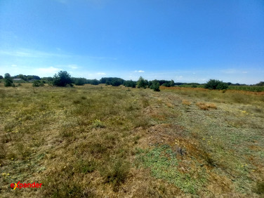 Działka Blinno