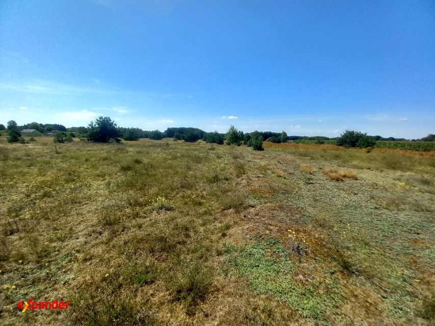 Działka Blinno