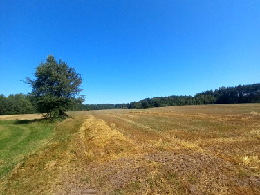Działka Likiec
