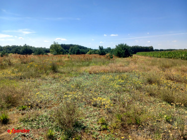 Działka Blinno