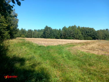 Działka Likiec