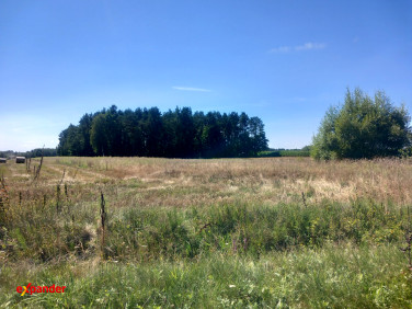 Działka Likiec