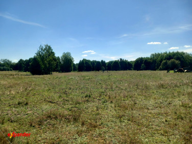 Działka Józefowo