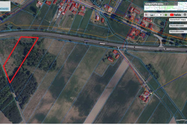 Działka Blinno