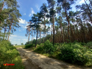 Działka rekreacyjna Mierzynek