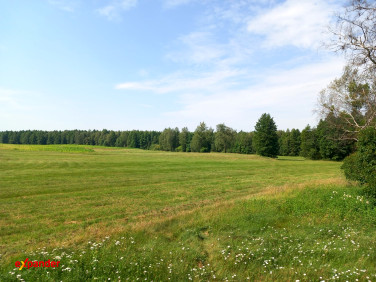 Działka inwestycyjna Stary Kobrzyniec