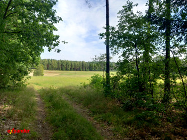 Działka budowlana Sarnowo