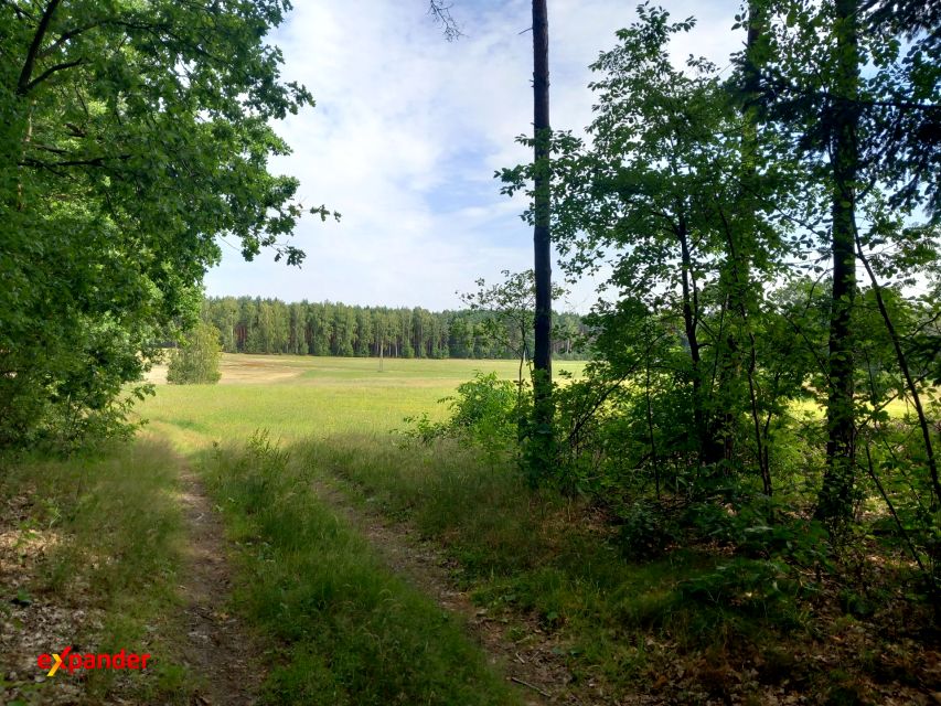 Działka budowlana Sarnowo