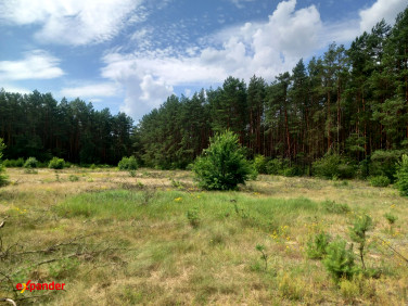 Działka Likiec