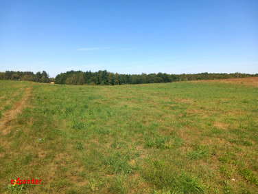 Działka Rojewo