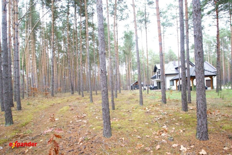 Działka budowlana Władysławów