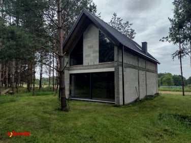 Dom Widełka