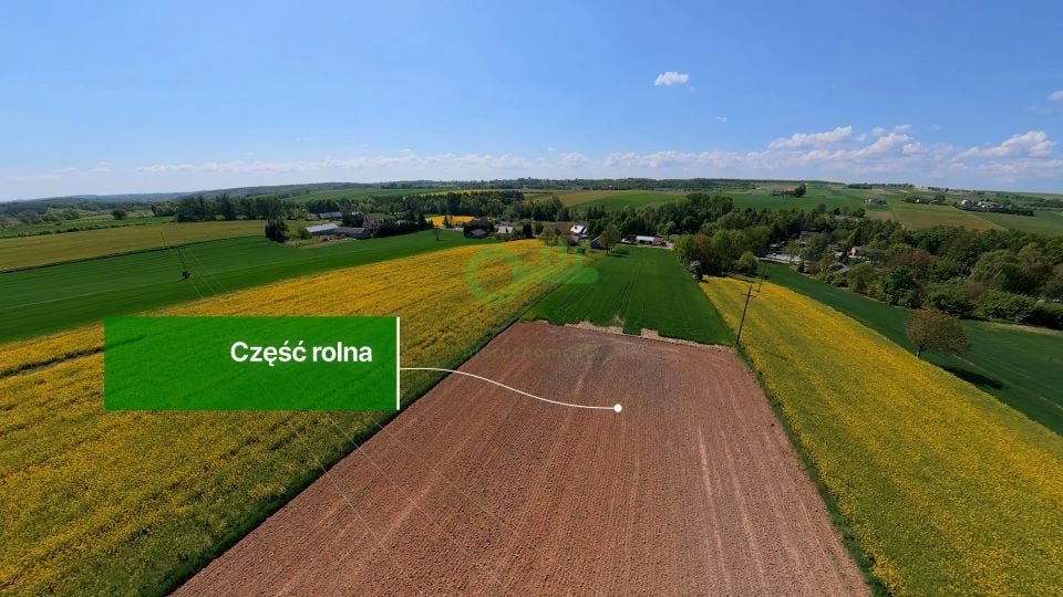 Zdjęcie 3
