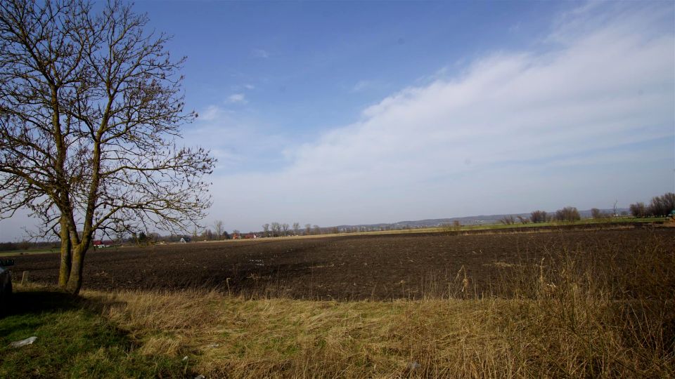 Zdjęcie 3