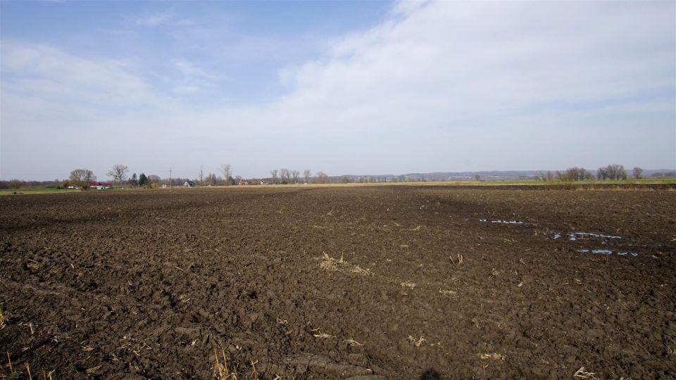 Zdjęcie 3