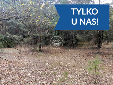 Działka Dzbądz