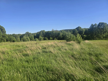 Działka Kajetanów