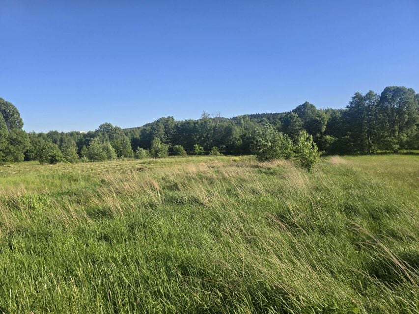 Działka Kajetanów