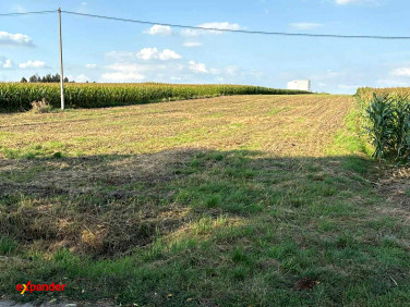 Działka Trojanów