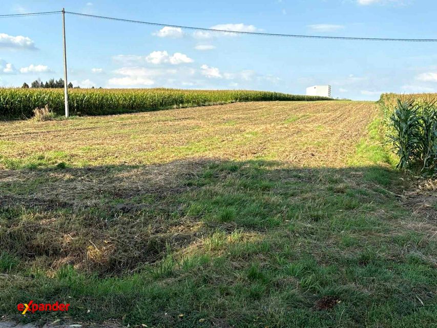 Działka Trojanów