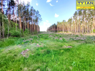Działka Zaręby-Jartuzy