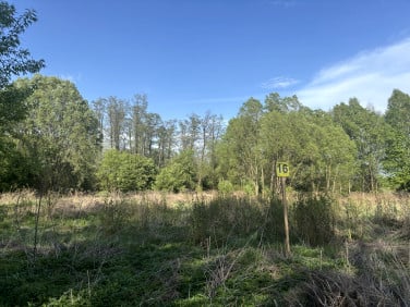 Działka przy lesie