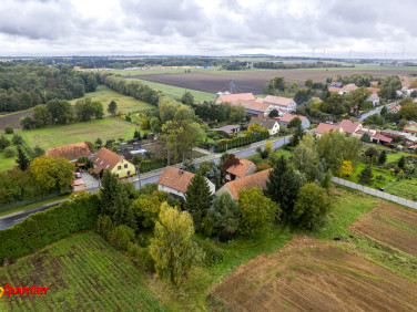 Działka Piotrowice