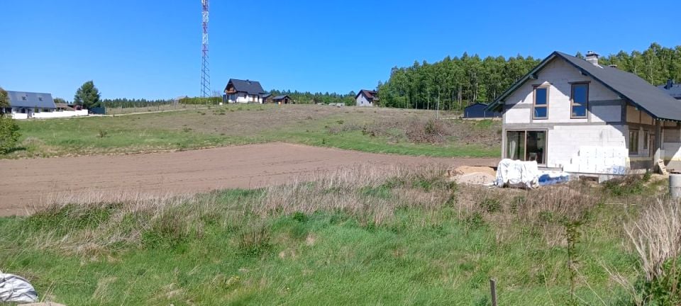 Zdjęcie 3