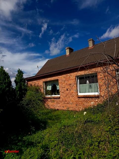 Zdjęcie 2
