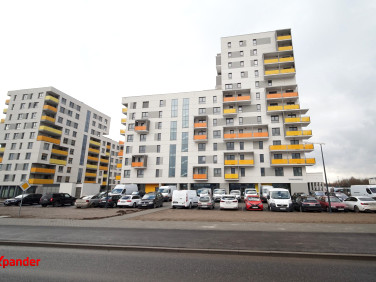 Lokal Rzeszów sprzedaż