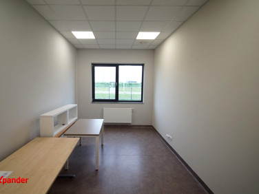 Lokal Rzeszów